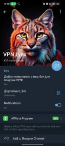 VPN Lynx 4