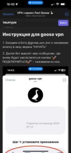 VPN Fast Goose 🪿 2