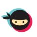 TT Ninja Bot