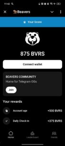 🦫Beavers 2