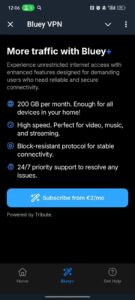 VPN Bluey — No More Blocked Content 3