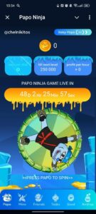 Papo Ninja 1