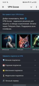 VPN Goose 1