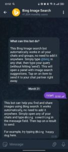 Bing Image Search 1