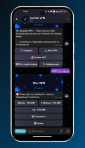 Sworkle VPN 4