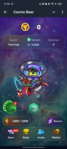 Cosmo Bear 1