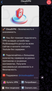 CloudVPN 2
