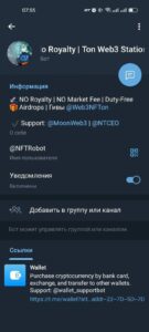 NFT No Royalty | Ton Web3 Station 2