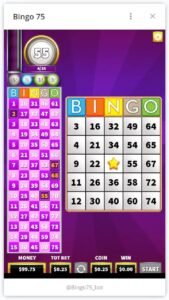 Bingo 75 1