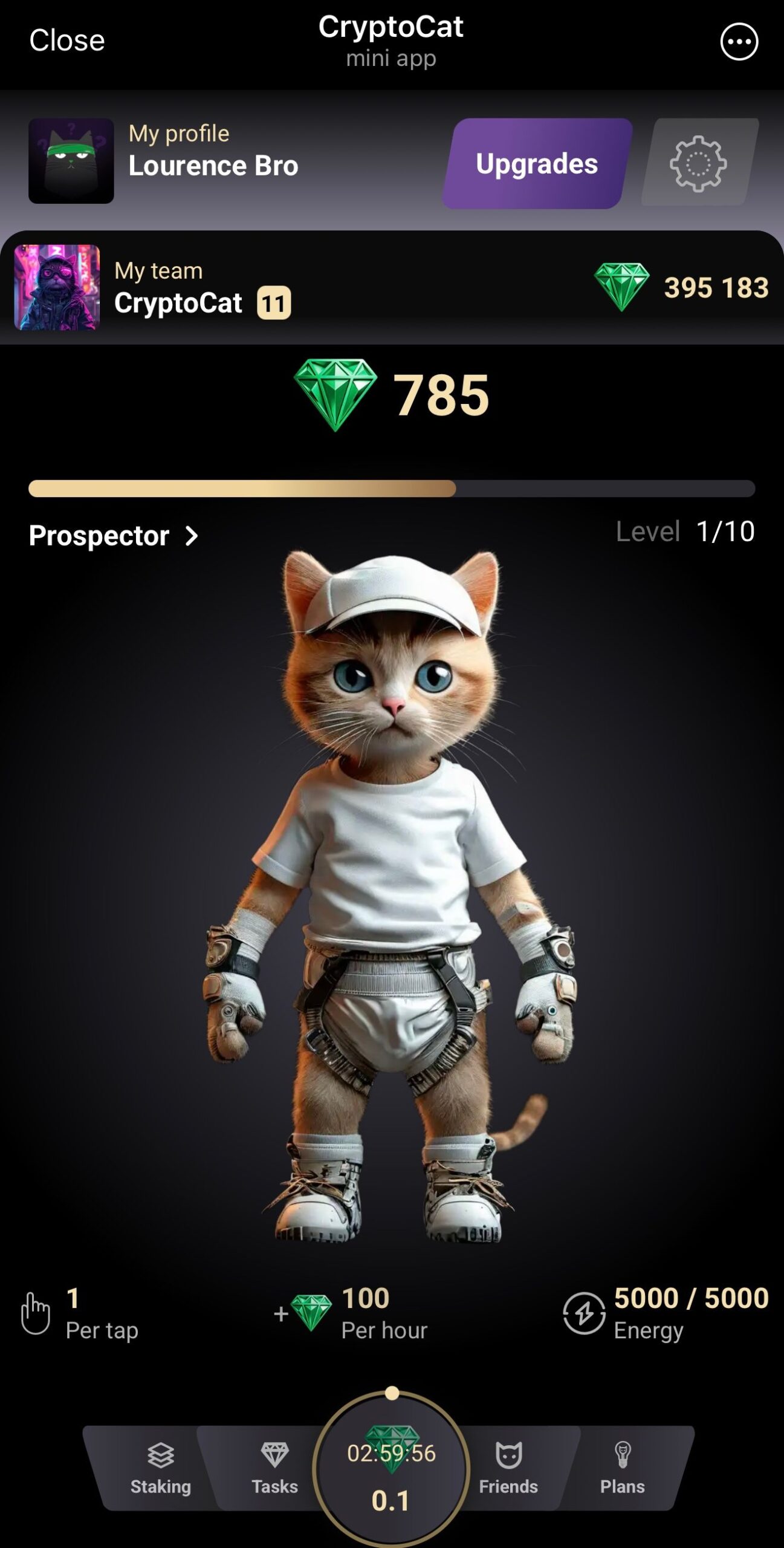 CryptoCat 1