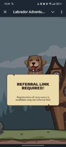 Labrador Adventures 3