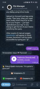 File Manager 2