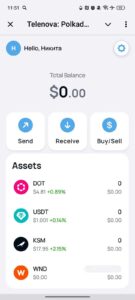 Telenova: Polkadot Wallet 2