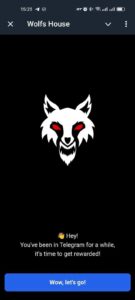 Wolfs House 5
