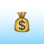 MoneyBag 💰