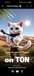 Cats Kombats 🐱 1