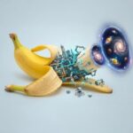 ChatGPT 5 | Gemini | DeepSeek | Nano Banana