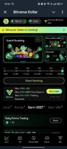 Bitverse Dollar 1
