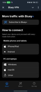 VPN Bluey — No More Blocked Content 2