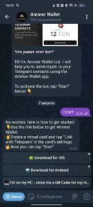 Ammer Wallet 1
