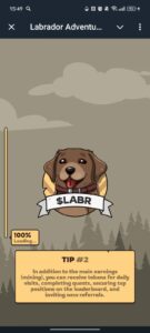 Labrador Adventures 2
