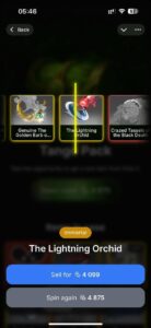 DOTA 2 CASES 4