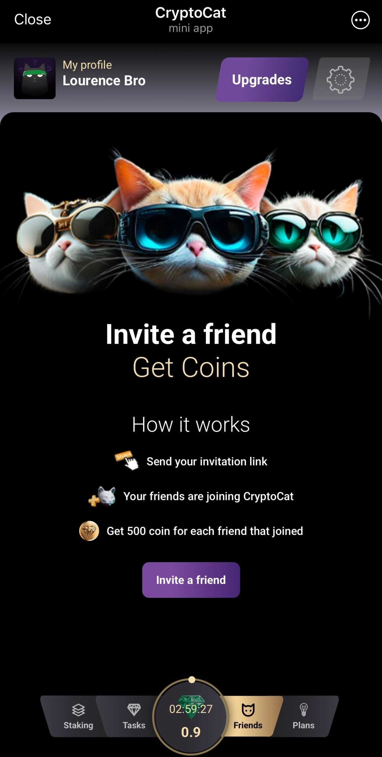 CryptoCat 4