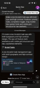 Quinn Dev 2