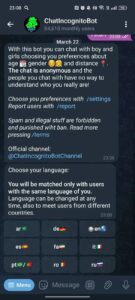 ChatIncognitoBot 2