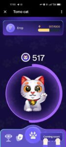Tomocat 1
