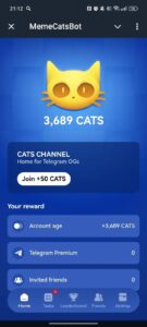 MemeCatsBot 1