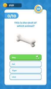 Ask Coin 3
