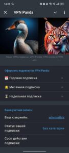 VPN Panda 2