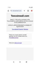 Toncoinwall.com 2