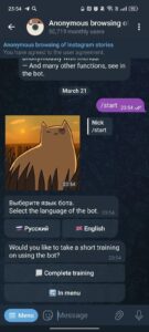 Анонимный просмотр Instagram & ВКонтакте 2