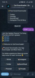 🐈‍⬛️ Cat Downloader | Social Medias & Websites Downloader 1