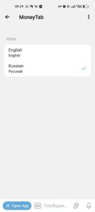 MoneyTab 3