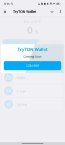 TryTON Wallet 3
