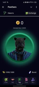 Panthers 1