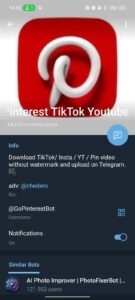 Pinterest TikTok Youtube downloader 4