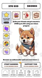 Not Shiba 7