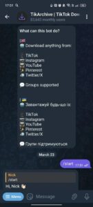 TikArchive | TikTok Downloader 1