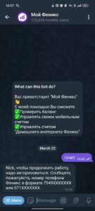 Мой Феникс 1