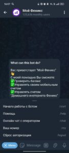 Мой Феникс 2