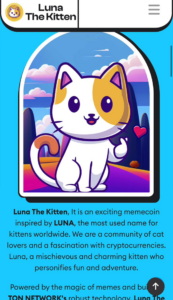 Luna The Kitten 3