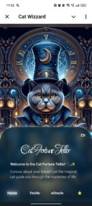 Cat Wizzard 1