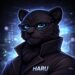 Haru VPN