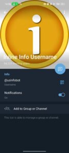 Inline Info Username 4