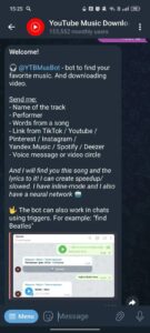 YouTube Music Downloader 2