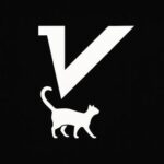 v2RayTun | VPN | Vless
